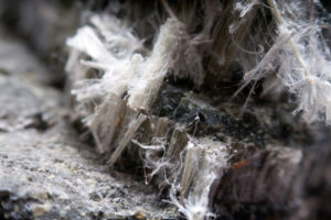 asbestos exposure in columbia sc